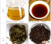 生茶好还是熟茶好普洱茶 熟普洱茶的功效与作用