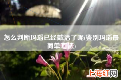 鉴别玛瑙最简单方法 怎么判断玛瑙已经戴活了呢