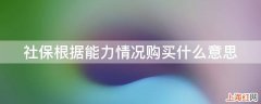 社保根据能力情况购买什么意思