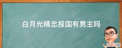 白月光精忠报国有男主吗