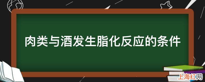 肉类与酒发生脂化反应的条件