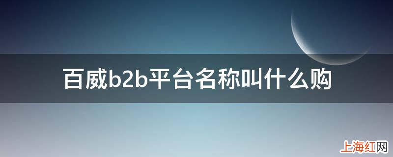 百威b2b平台名称叫什么购