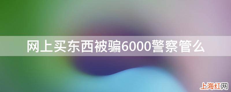 网上买东西被骗6000警察管么