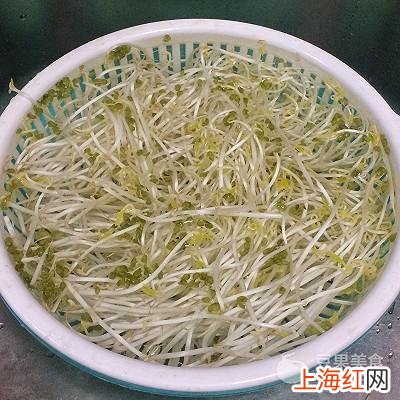 豆芽拌凉菜怎么拌好吃 凉拌豆芽怎么做_