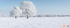 10毫米雪是多大