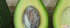 avocado是牛油果还是鳄梨