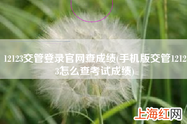 手机版交管12123怎么查考试成绩 12123交管登录官网查成绩