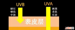 uva指的是什么