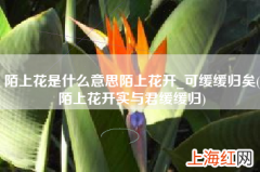 陌上花开实与君缓缓归 陌上花是什么意思陌上花开_可缓缓归矣