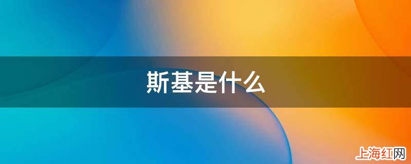 斯基是什么