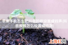 抖音视频怎么设置成铃声 苹果手机怎么把抖音的歌设置成铃声