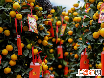 年桔上的利是封怎么挂
