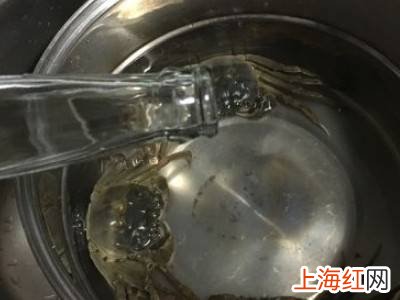 清洗大闸蟹的七个步骤