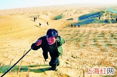 塔克拉玛干沙漠公路图片 塔克拉玛干沙漠公路绿化