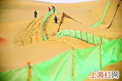 塔克拉玛干沙漠公路图片 塔克拉玛干沙漠公路绿化