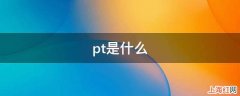 pt是什么