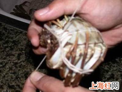 怎么捆大闸蟹教程