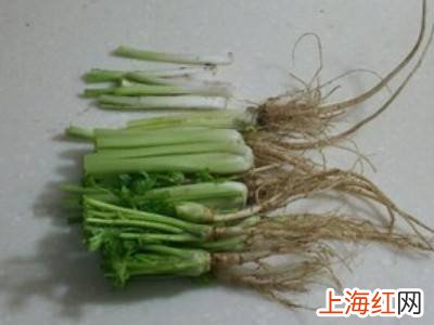 菜根香的做法