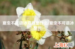 夏虫不可语冰整句 夏虫不可语冰意思是什么