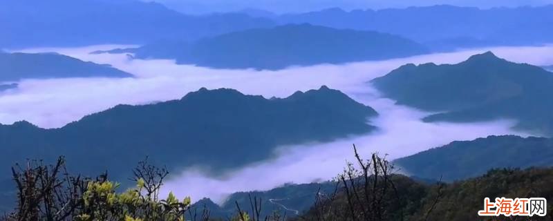 雪峰山主峰在哪个县