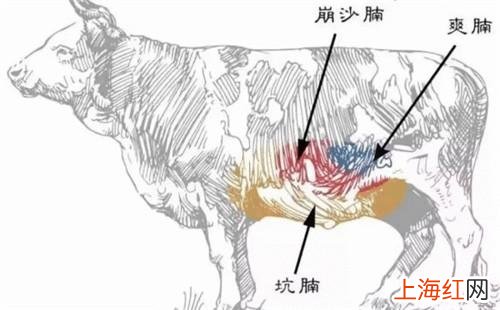 牛霖肉最适合做哪道菜 牛霖是牛的哪个部位的肉
