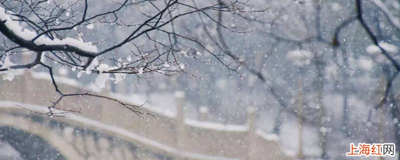 洁白无瑕的雪象征着什么