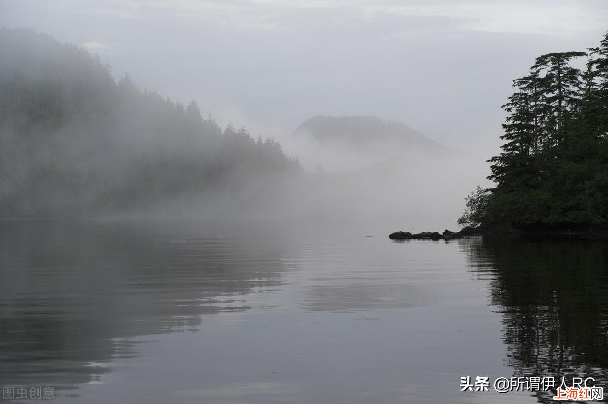 春风又绿江南岸明月何时照我还表达 什么又绿江南岸何时明月照我还
