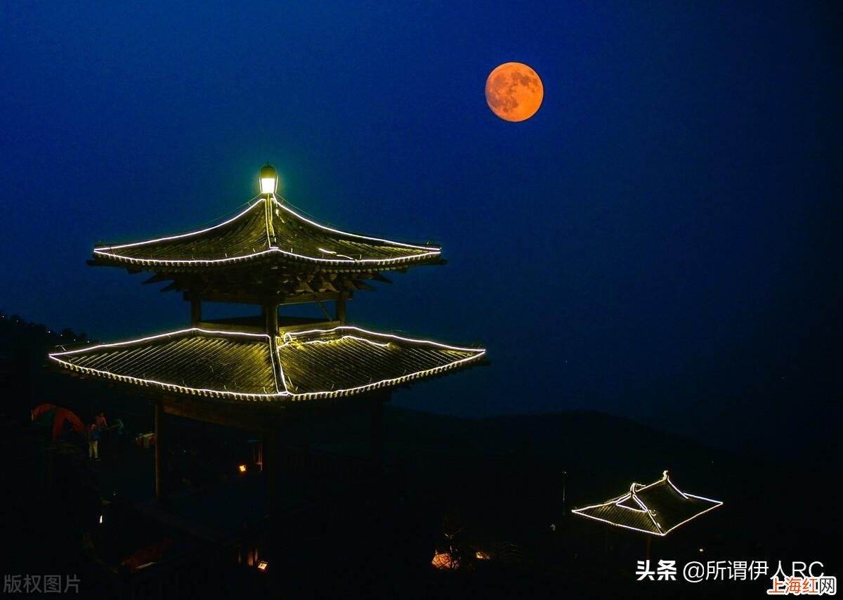 春风又绿江南岸明月何时照我还表达 什么又绿江南岸何时明月照我还