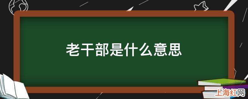 老干部是什么意思