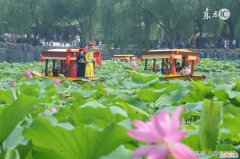 你记得大明湖畔的夏雨荷吗 你还记得大明湖畔的夏雨荷吗图片