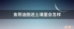 食用油倒进土壤里会怎样