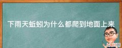 下雨天蚯蚓为什么都爬到地面上来