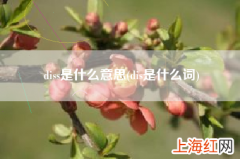 dis是什么词 diss是什么意思