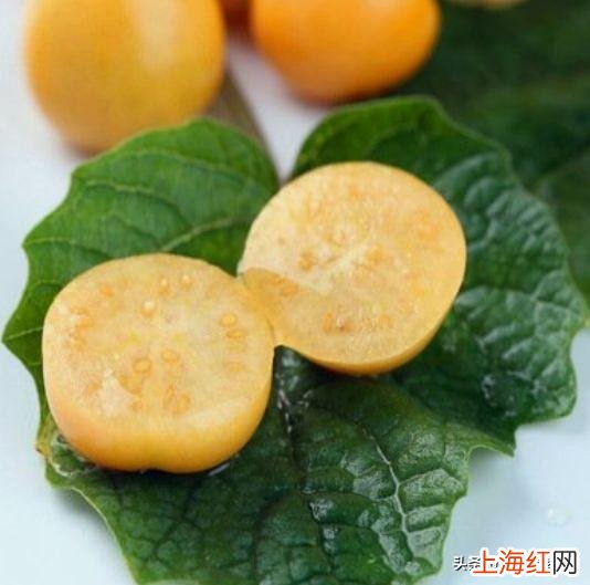 姑娘果的功效与作用 姑娘果营养价值及功效