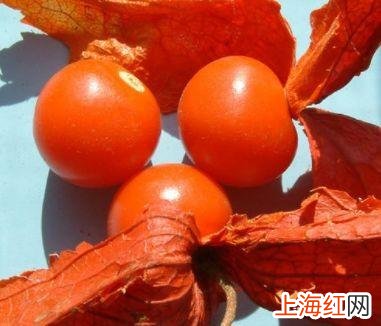 姑娘果的功效与作用 姑娘果营养价值及功效