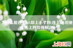 连上wifi但是无法上网如何解决 为什么能连上wifi却上不了网