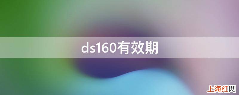 ds160有效期