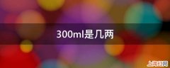 300ml是几两