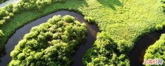 生物资源包括哪些内容