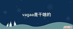 vagaa是干啥的