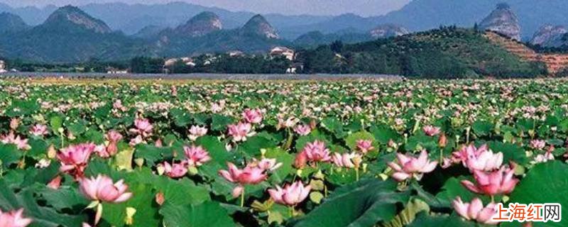 广昌县景点