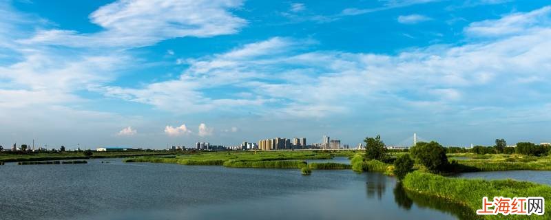 大洼县景点