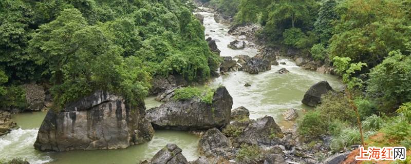 那坡县景点