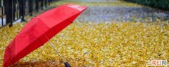 普通雨伞可以遮阳吗