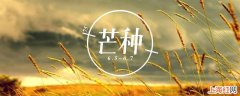 芒种又被称为什么