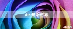 der是啥意思