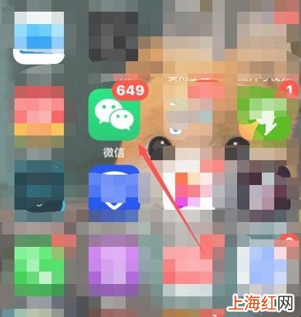 微信视频如何更换字体颜色