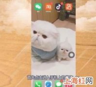 微信怎么@所有人