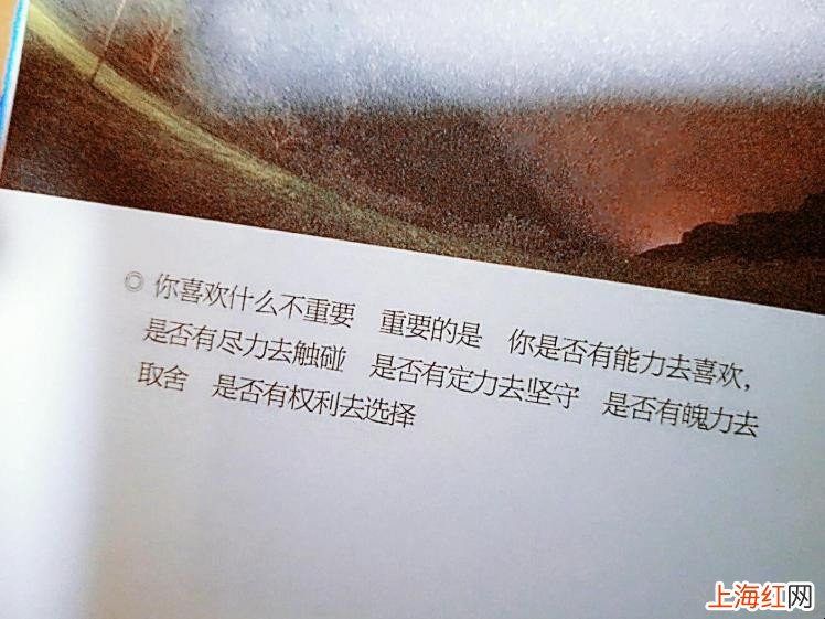 大冰的书经典语录有哪些