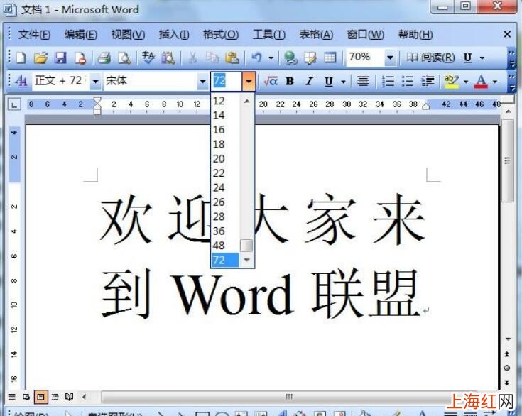 Word2003文档怎么放大字体